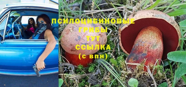 а пвп мука Ладушкин